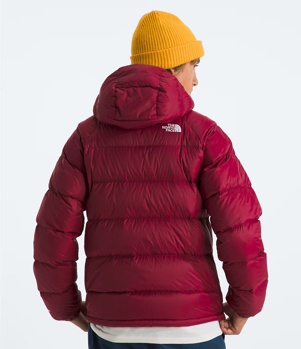 The North Face Men’s Hydrenalite Down Hoodie