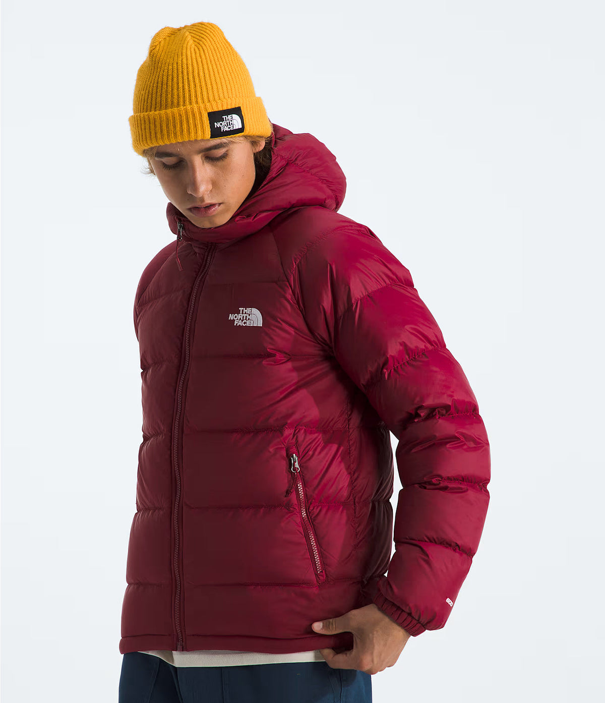 The North Face Men’s Hydrenalite Down Hoodie