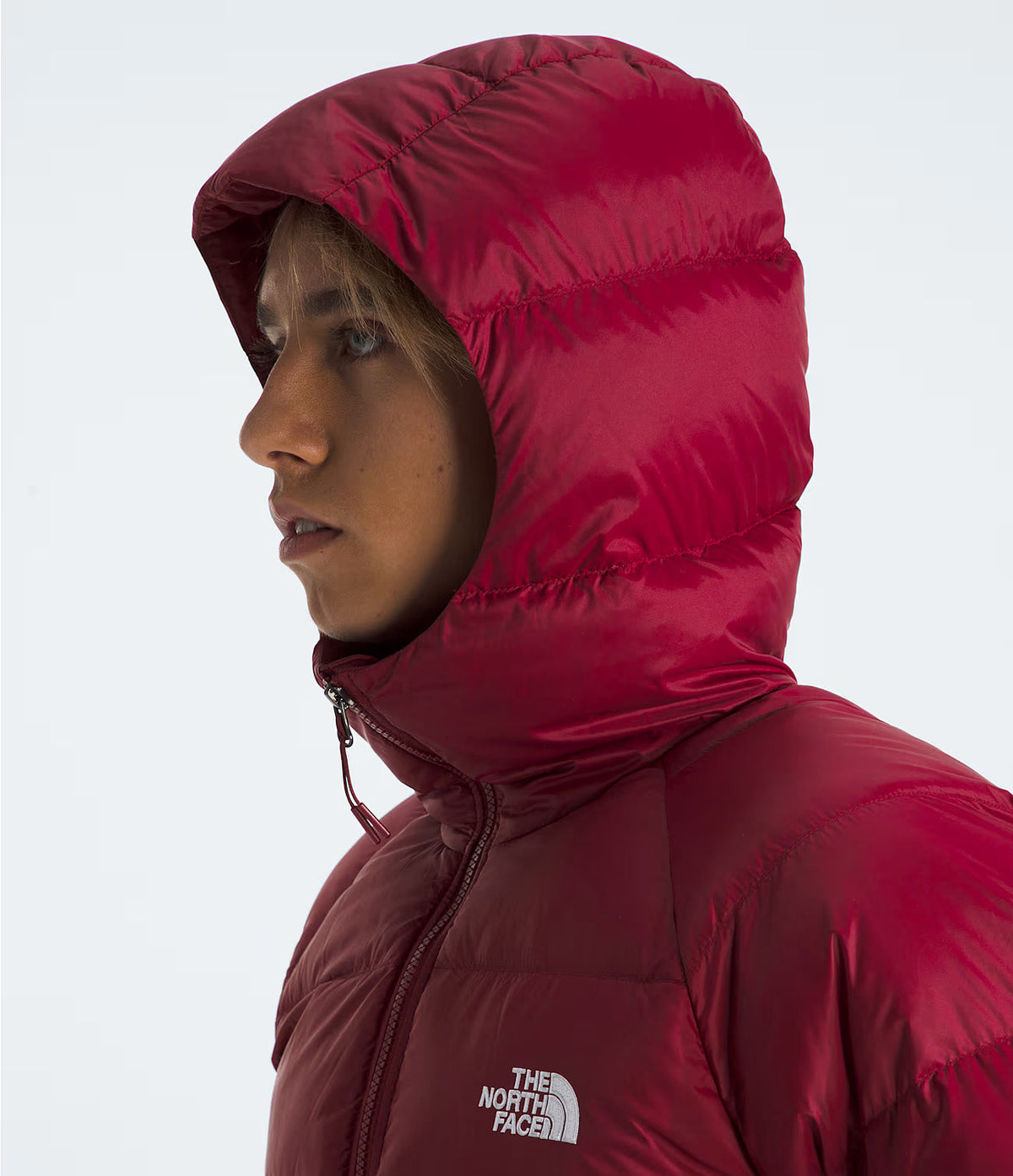 The North Face Men’s Hydrenalite Down Hoodie