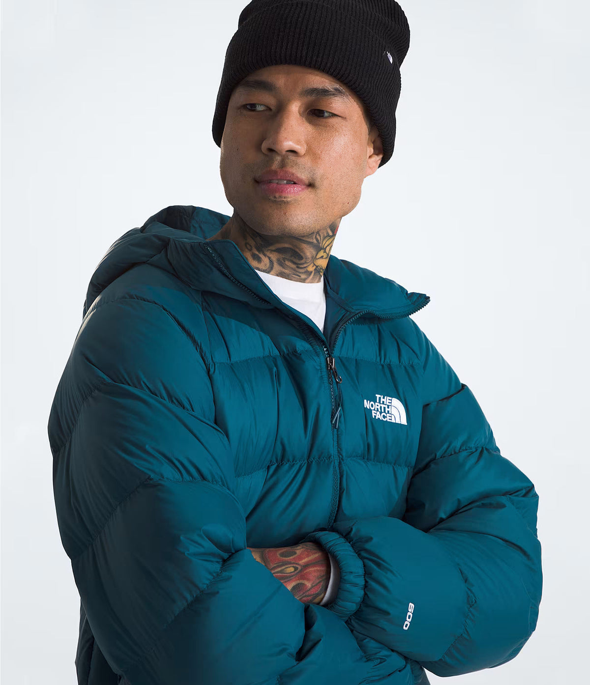 The North Face Men’s Hydrenalite Down Hoodie